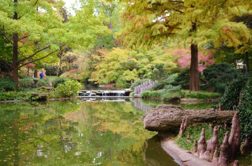 Japanese Botanic Garden, Fort Worth, Texas