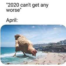 91183526_1384884401715648_6035921539130458112_n